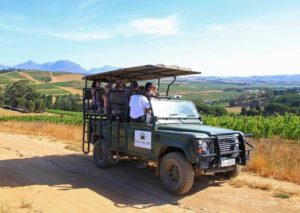 Warwick Wine Estate