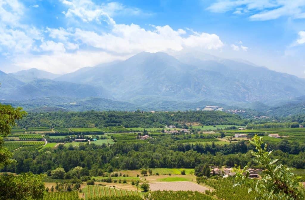 Languedoc wine region
