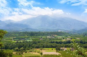 Languedoc