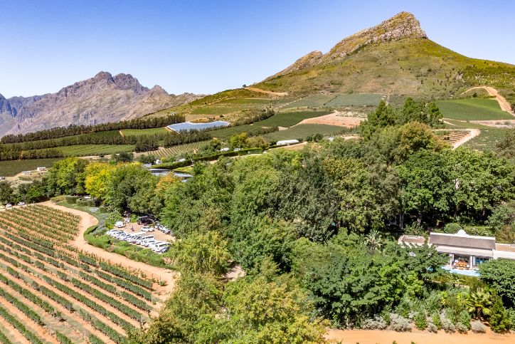 View of a Stellenbosch winery with beautiful vineyard views