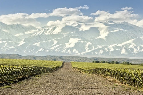 Sometimes called Espumante, Argentina makes Sparkling Wine in many styles. 
