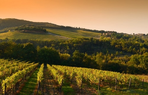 Chianti Itinerary: How To Spend 5 Days in Chianti, Tuscany • Winetraveler