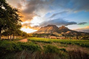 Best Stellenbosch Wineries & Wine Tours (Updated 2026)