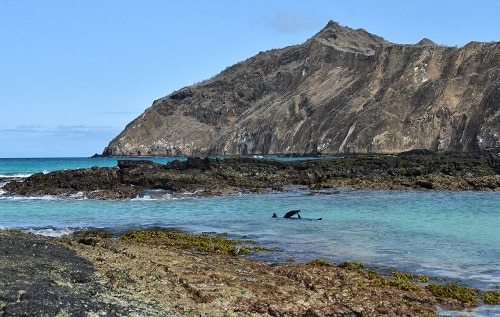 Cerro Brujo Galapagos