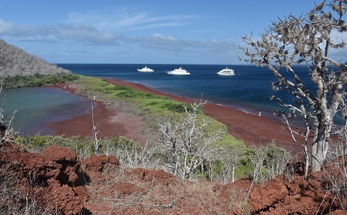 Numerous dive options are available for the experienced diver on the Galapagos Islands. Image courtesy Lenore Parr.
