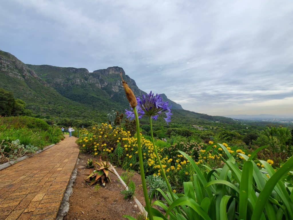 Outdoor things to do in Cape Town South Africa