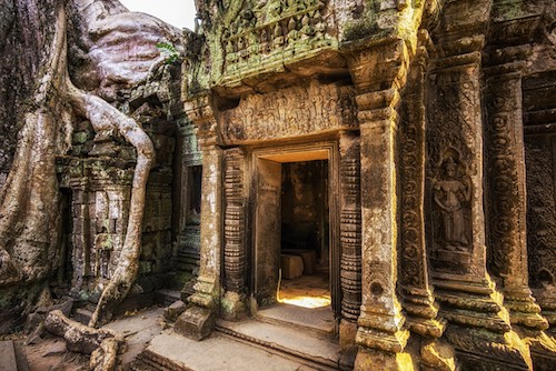 Angkor Temple - Ta Prohm - Travel Guide, Itinerary & Trip Planner | Winetraveler.com