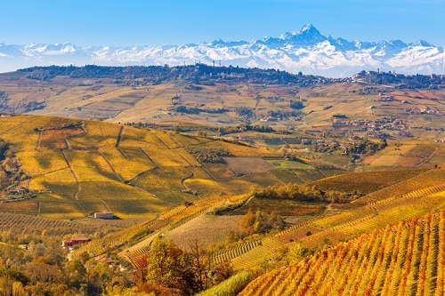 Travel Itinerary: Langhe-Roero & Monferrato in Piedmont • Winetraveler