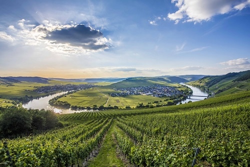Moselle Valley, Luxembourg - Winetraveler.com