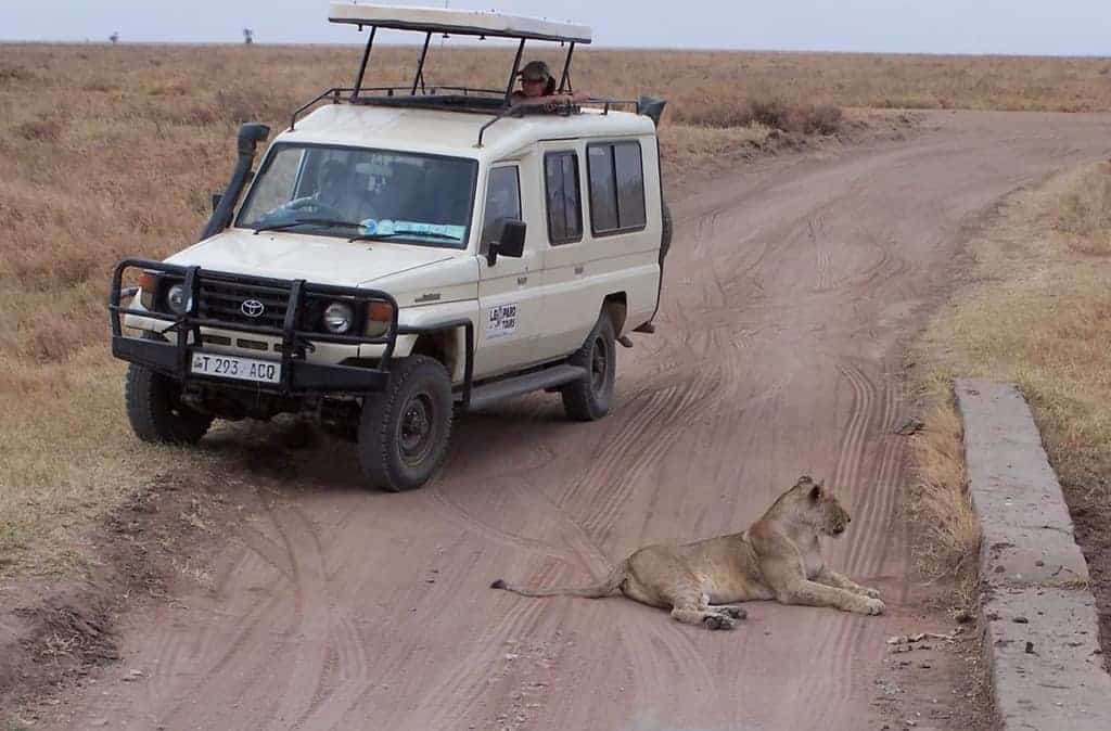 African Safari Planning Guide: 20 Tips To Prepare for a Safari • Winetraveler