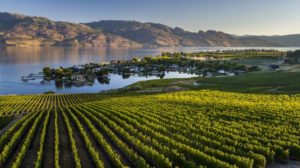 Quails’ Gate Winery