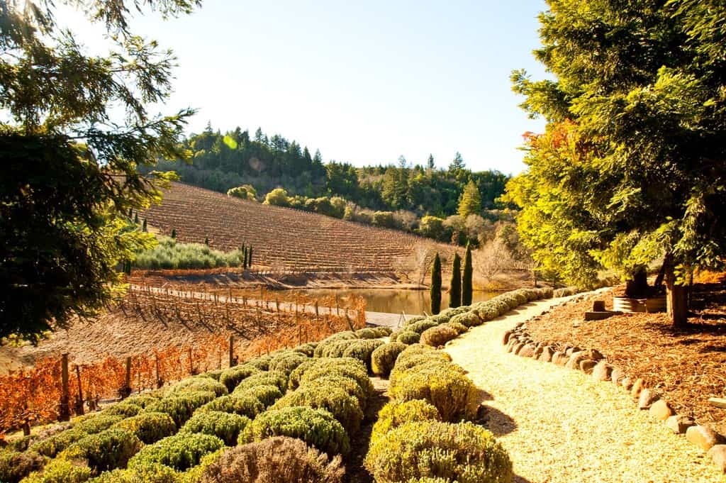 Dry Creek Valley Itinerary: What To See and Do • Winetraveler