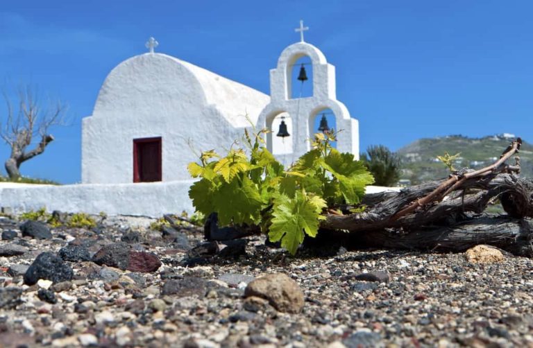 Assyrtiko