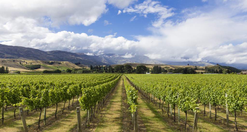 Top 10 Wine Regions to Visit in 2021 • Winetraveler