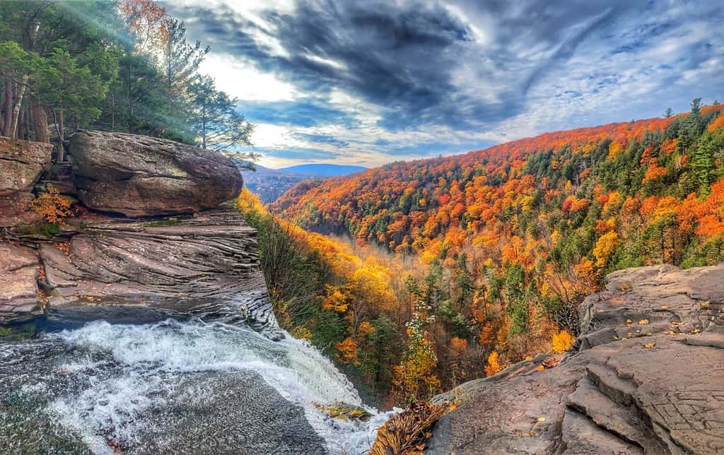 Scenic Tree Lined Country Road In The Catskill Mountains Of