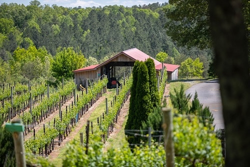 Overmountain Vineyards in Tryon, NC