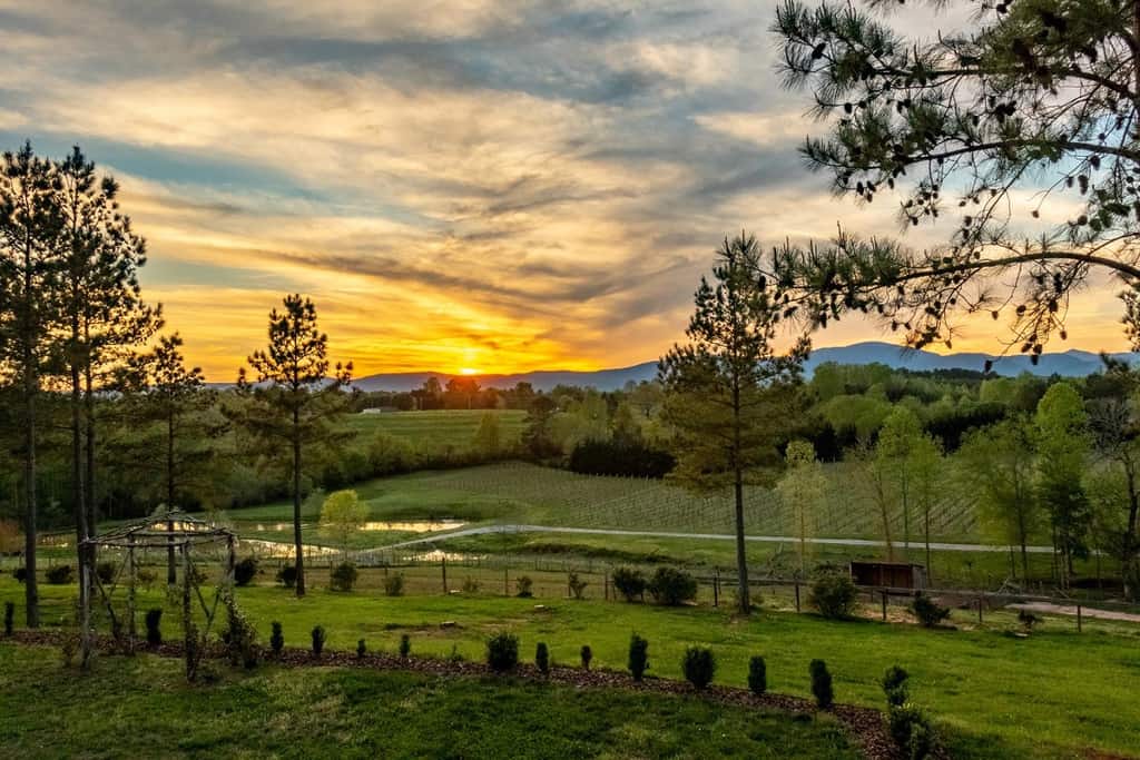 Top Tryon Foothills Wineries To Visit in North Carolina