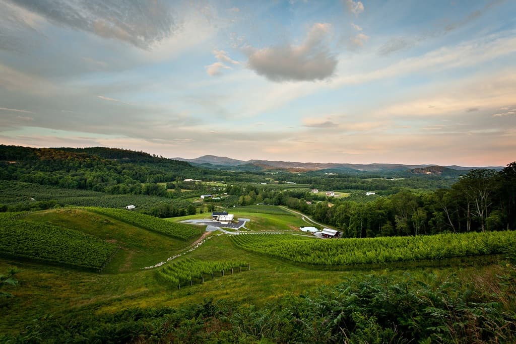 The best wineries near Asheville NC