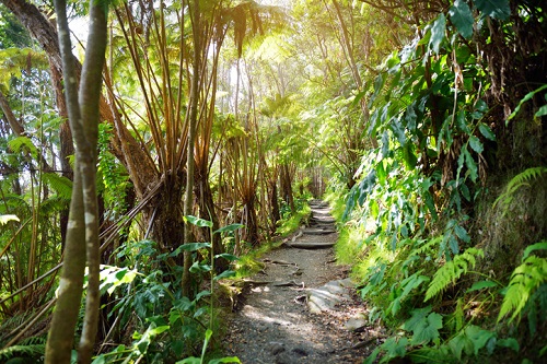 Where to hike in Hawaii