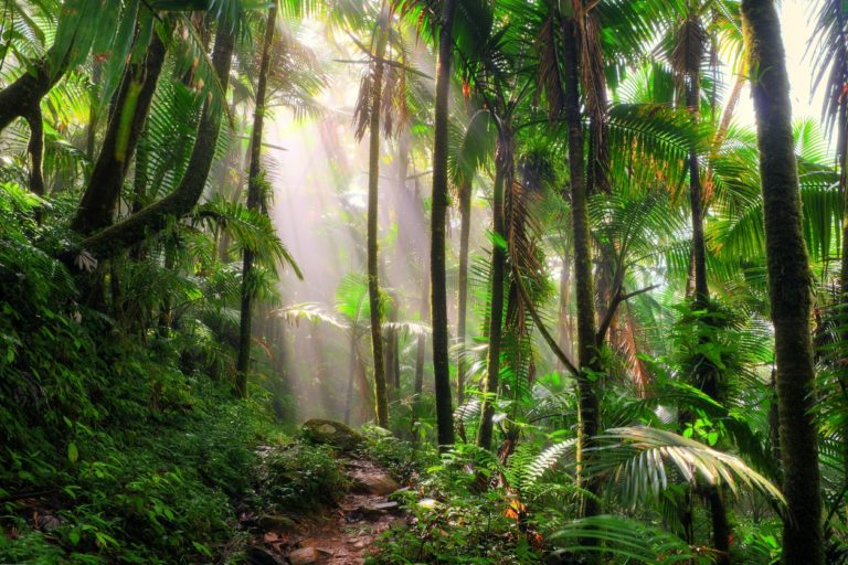 7 Delightful Reasons To Visit Puerto Rico