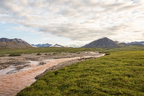 Visiting Gates of the Arctic National Park in Summer