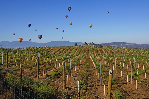 Things to do in Temecula Valley California