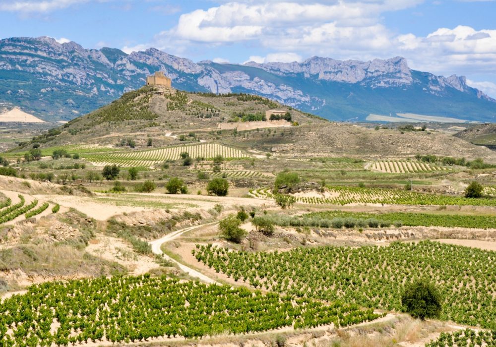 22 Top Rioja Wineries You Can't Miss on Your Next Trip to Spain