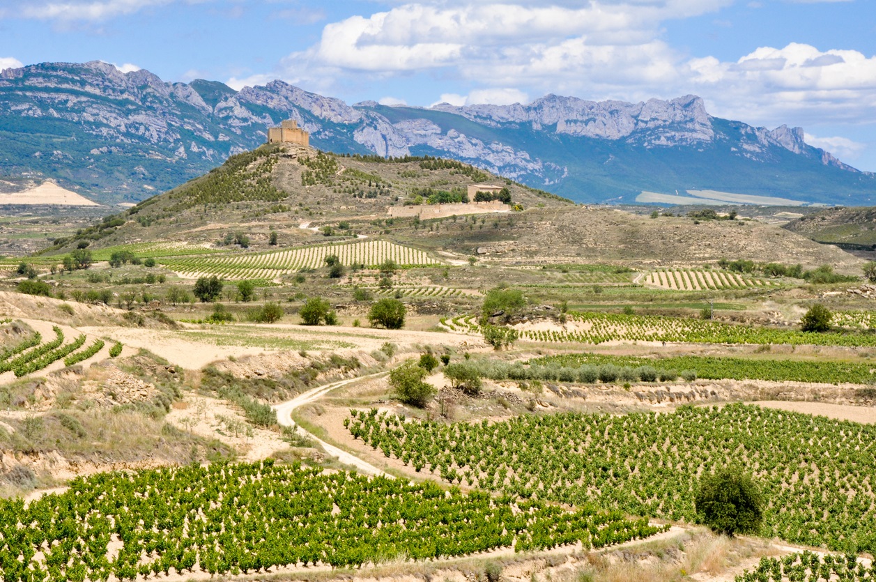 Fall into paradise - Wines of the King Valley