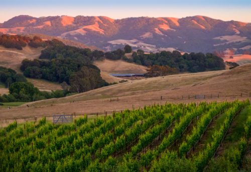 Sononma Itinerary: 3 Day Trip Everything You Need To Know