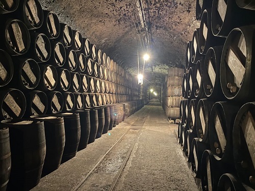 Inside the cellars at Lopez de Heredia