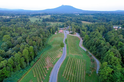Best NC Wineries with Restaurants: JOLO Winery and Vineyards