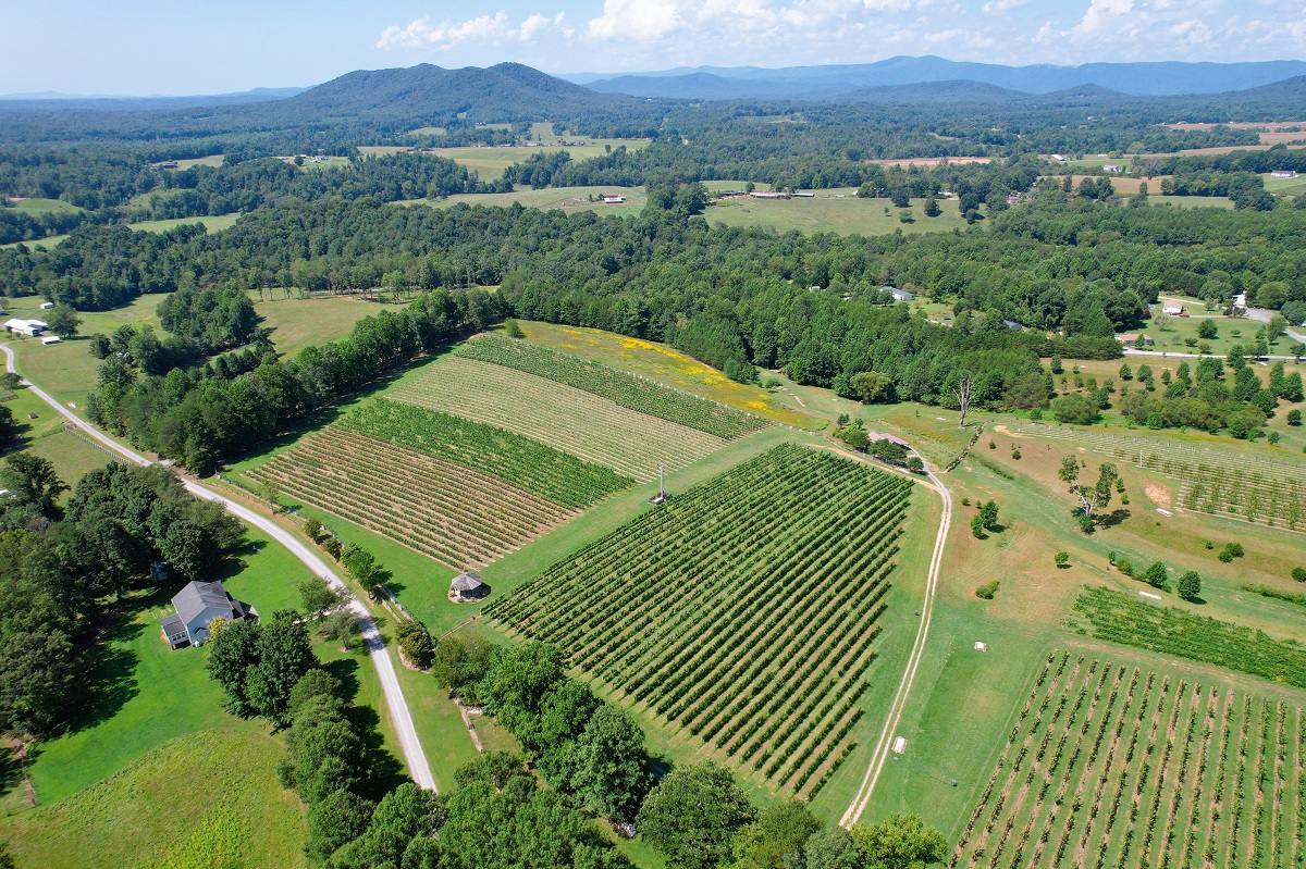 wineries with lunch near me