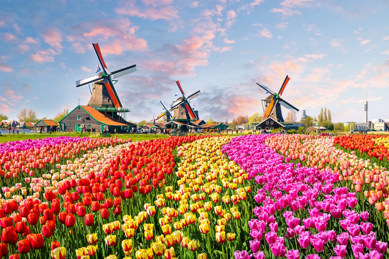 8 Best Places To Visit In The Netherlands • Winetraveler