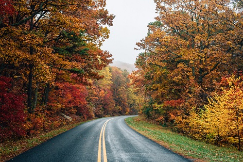Driving along the Blue Ridge Parkway in North Carolina presents endless opportunities for things to do. It's an especially beautiful drive during the autumn season.