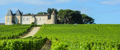 Famous Bordeaux Chateau, Wineries and Vineyards to Visit: Chateau d'Yquem