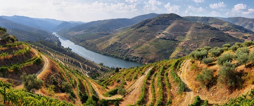 where to visit in Portugal - the Douro Valley wine region