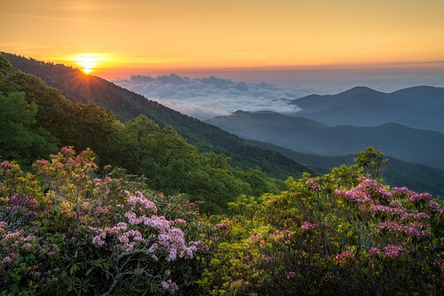 Best Fun Things To Do in North Carolina: Visit the Blueridge Mountains