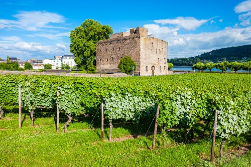 Where to visit in Germany: Rheingau