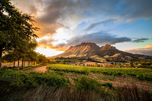 14 Day South Africa Bucket List Itinerary
