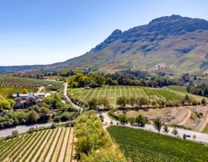 Fun 2 Week South Africa Itinerary: How to Plan Your Trip