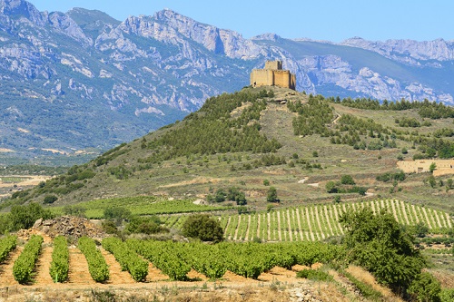 Vineyards and Wineries in Spain: Rioja Wine Region