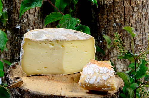 Tomme de Savoie French Cheese