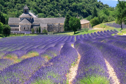 Provence: Where to visit in France - Top wine destinations in France