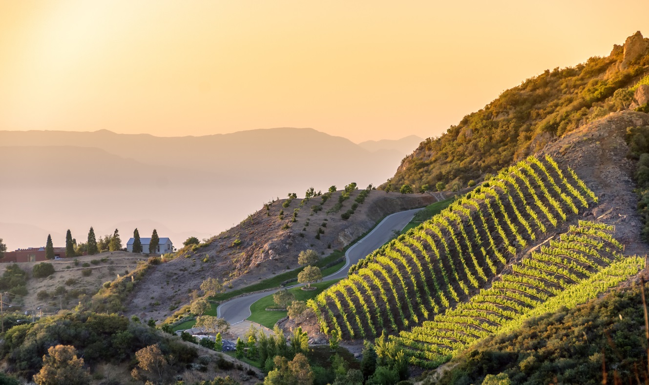 Where To Go Wine Tasting in Malibu California • Winetraveler