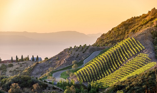 Where to go wine tasting in Malibu California