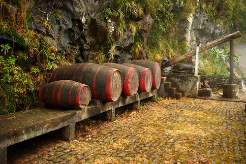 Best wineries to visit on Madeira