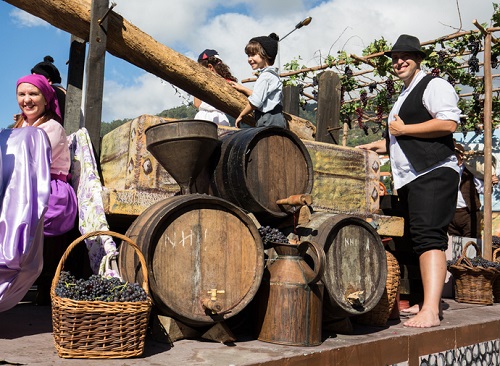 Wine Culture in Madeira