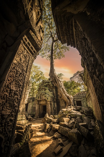 Ta Prohm Temple in Cambodia