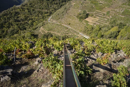 Rail Device used during Harvest in Ribeira Sacra Spain