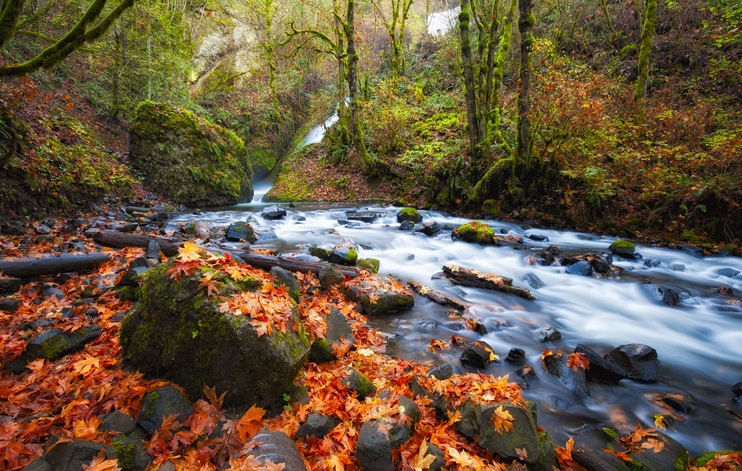 Autumn colors and views near the Columbia River Gorge